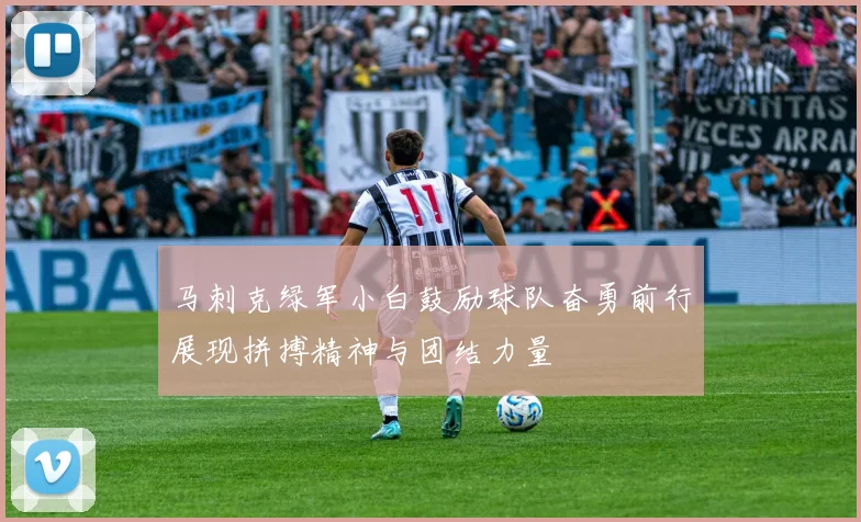 马刺克绿军小白鼓励球队奋勇前行展现拼搏精神与团结力量