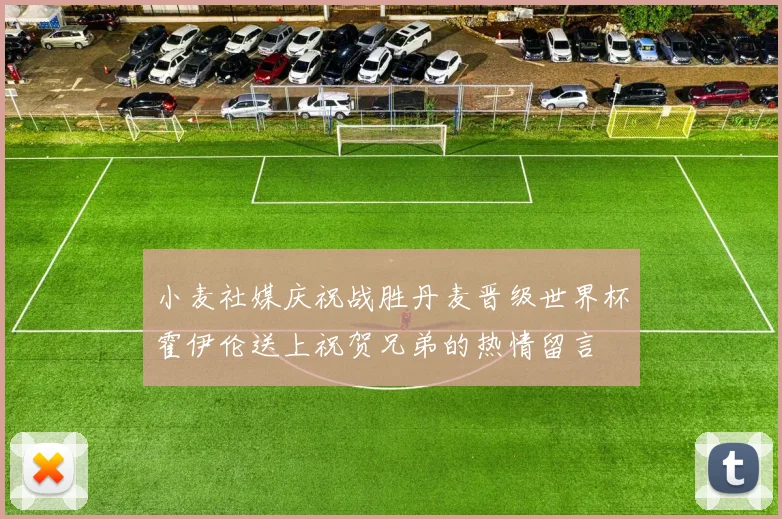 小麦社媒庆祝战胜丹麦晋级世界杯霍伊伦送上祝贺兄弟的热情留言