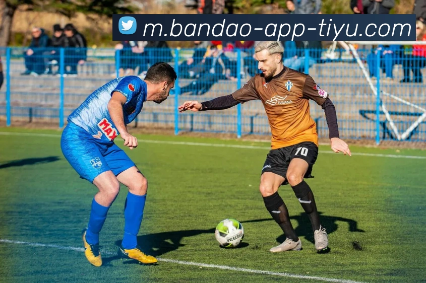 半岛体育平台生态图