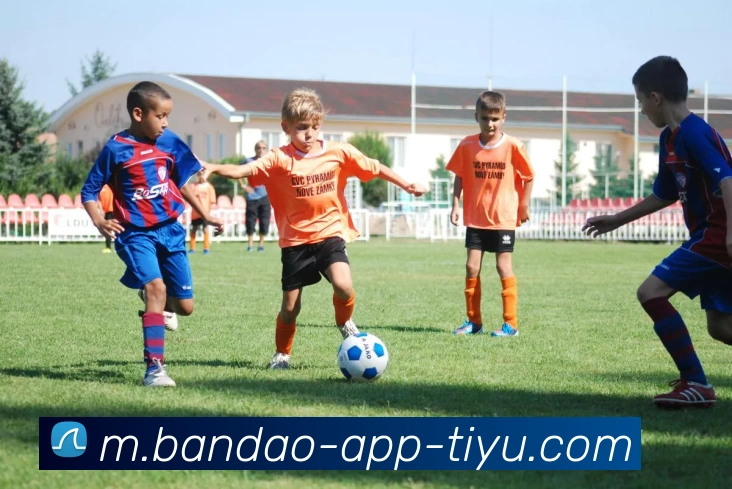 半岛体育全站App